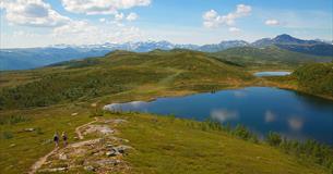 Aussicht vom Melbysfjellet in Richtung Knausehøgdene mit dem Bitihorn im Hintergrund.