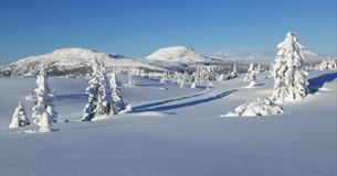 Skardåsen