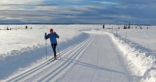 Photo: Storefjell Resort