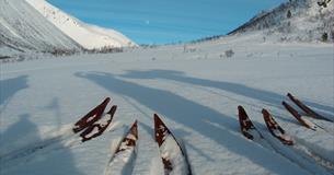 4-dagers kurs; Lag dine egne treski