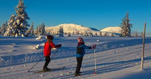 Beitostølen-Danebu (65 km), cross country