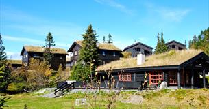 Aurdal Fjellpark Valdres