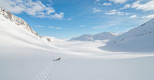 Dog sledding with Beito Husky Tours