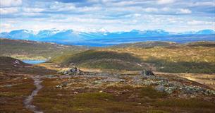 Several places along the cycling tour around Bjødalsfjellet hiking trails start towards Bjødalskampen.  From the high country on Bjødalsfjellet there