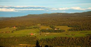 Aussicht von Brattstølen zu kleinen Höfen auf der anderen Talseite des Tisleidalens in der Abendsonne.