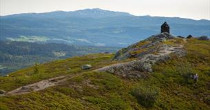 Die letzten Meter zur Gipfelwarte auf dem Jutulen. Im Hintergrund bewaldete Hänge und ein höherer Berg.