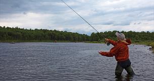 Fishing - River Tisleia