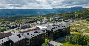 Riddergaarden dronebilde