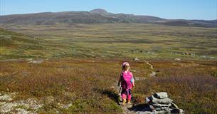 Nasjonalparkstien i Langsua