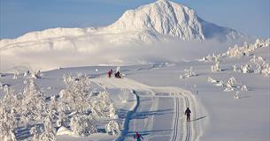 Panoramic cross-country skiing tour from Beitostølen to Bygdin