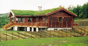 Cabins in Beitostølen, Valdres for rent