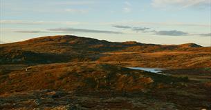 Herbststimmung im Fjell in warmem Abendlicht.