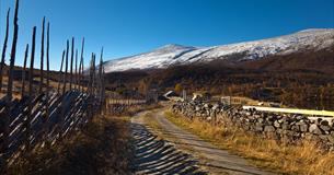 Ein Fahrweg im Fjell an Almen vorbei, mit traditionellem Holzzaun auf der einen, und einer Steinmauer auf der anderen Seite, im Spätherbst mit verschneitem Berg im Hintergrund.