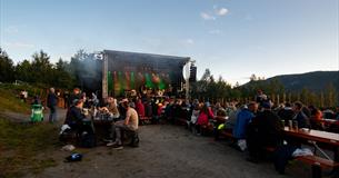 Hedalen Kulturfestival