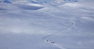 Eine Skiloipe zieht sich über eine Hochebene über der Baumgrenze. Hohe Berge im Hintergrund