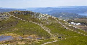 Wanderer im baumlosen Fjell