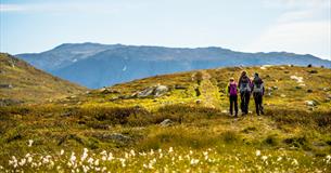 Mennesker på vandring over fjellet