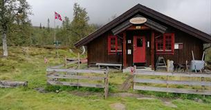 Storekrakkoia omringet av Bjørkeskog en grå sommerdag.