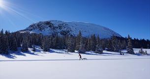 Langrennsløper foran Rundemellen, sett fra Vangsjøen.