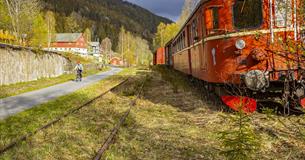 At the old Bjørgo station there are still to grass overgrown train tracks and a red train, consisting of a locomotive and a couple of wagons. A cyclis