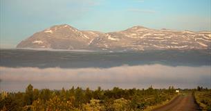 Am Panoramavegen mit dem Skogshorn im Hintergrund.