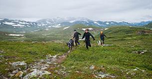Kinder mit Huuskies auf einer Wanderung im Fjell