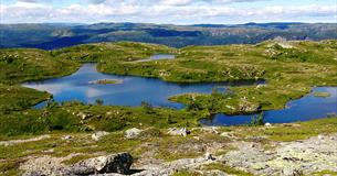 Trekanten i Vassfaret