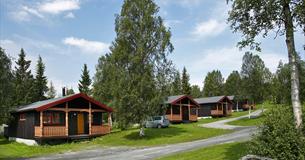 Knuts Hyttegrend, Beitostølen, Valdres, Norway