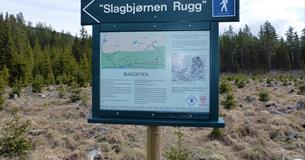 Informationstafel am Rugg-Weg