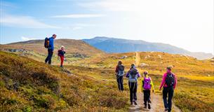 Entlang des Kongevegen von Kyrkjestølen nach Maristova.