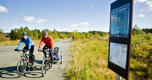 Cycling across Golsfjellet