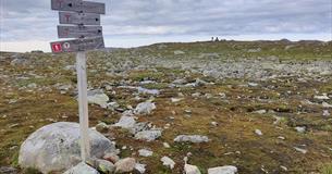 Wandertour Valdresflye-Bygdin