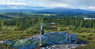 Utsikt fra Vardafjell med turpostkasse over vid lavfjellsterreng med skoger og vann mot Synnfjellet.