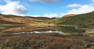 Herbststimmung auf dem Bjødalsfjell