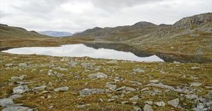 Fishing water at Filefjell