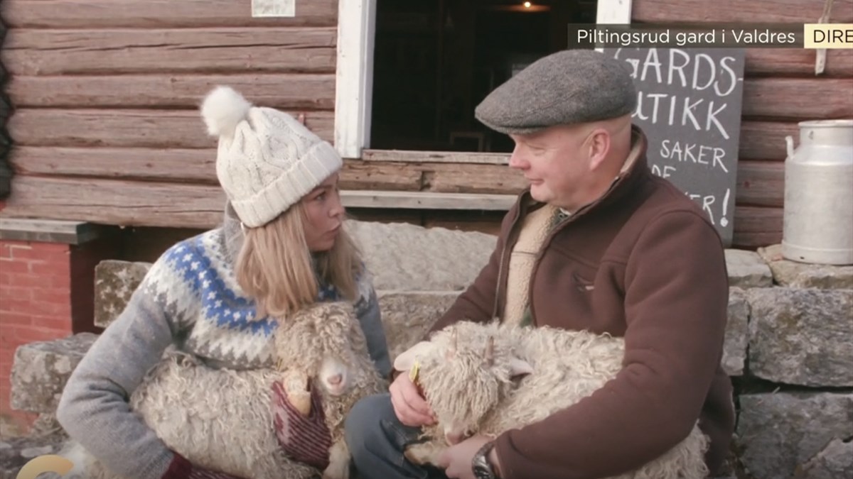 TV2 på besøk hos Røn gard og Piltingsrud gard - Valdres