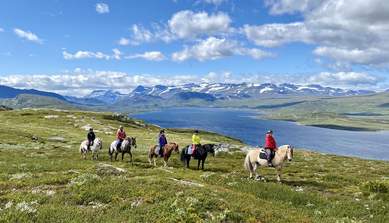 Ridetur til Olefjellet med flott utsikt til Jotunheimen og Vinstern.