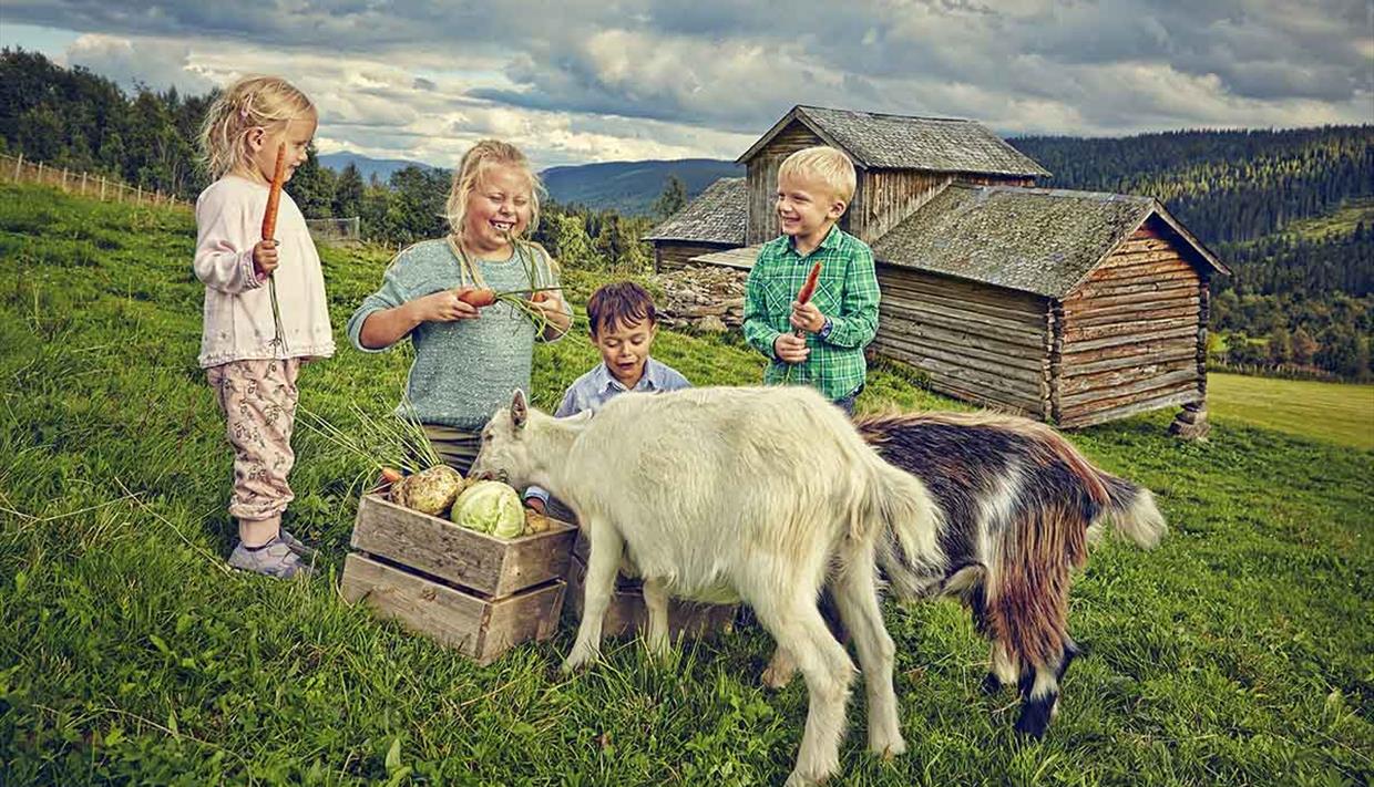 Barn med geiter på stølen