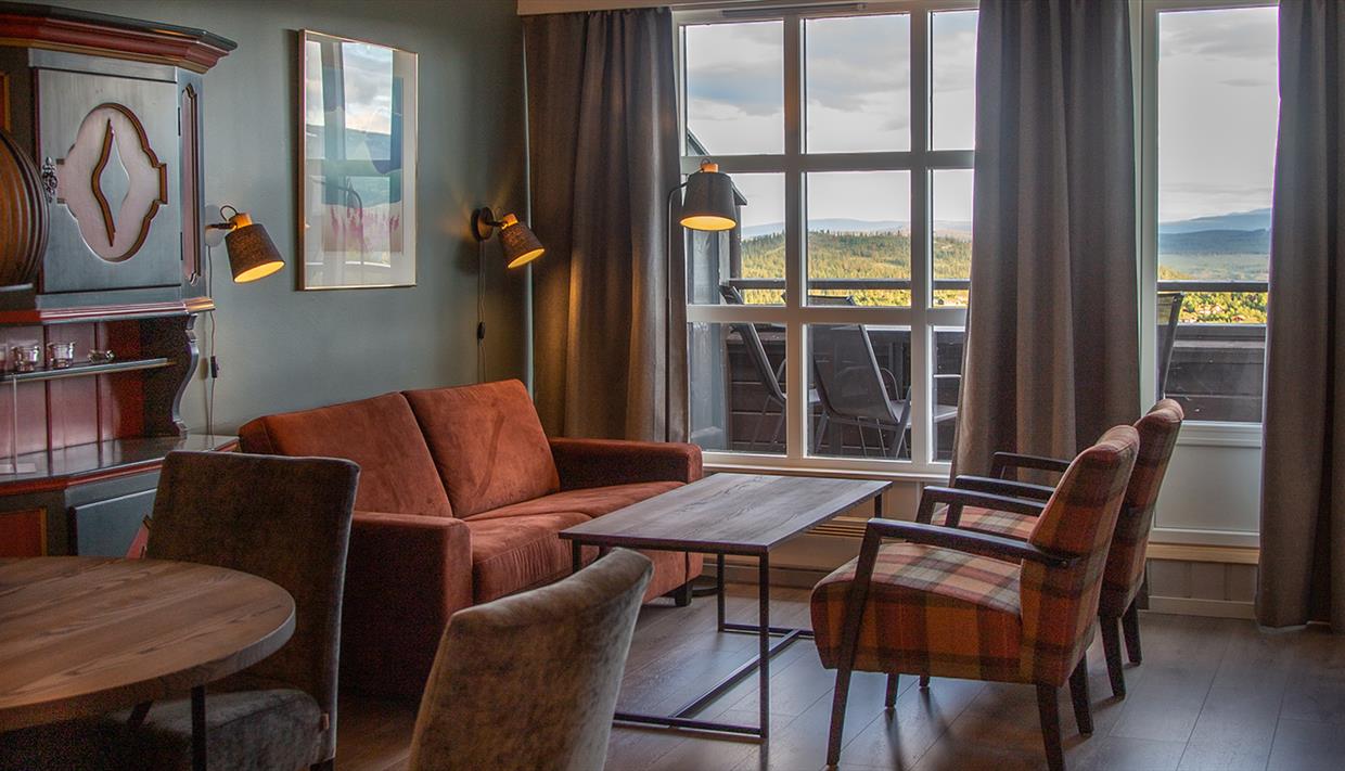 Delicate living room with a view