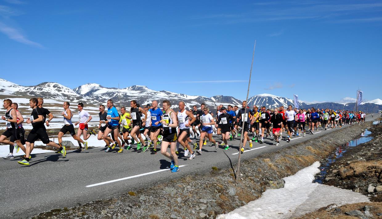 Mange deltakere på Det Norske Fjellmaraton langs Valdresflye i strålende vær.