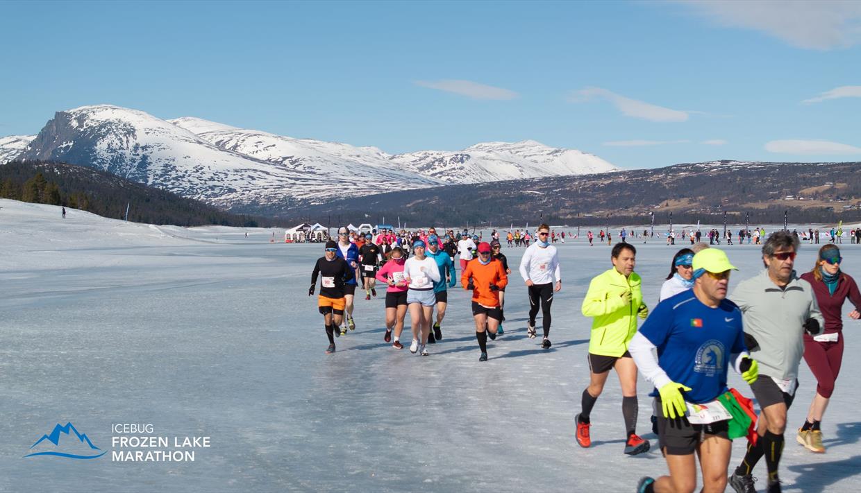 Bilde fra fjorårets Marathon hvor man kan se flere titals løpere over Tisleifjorden.