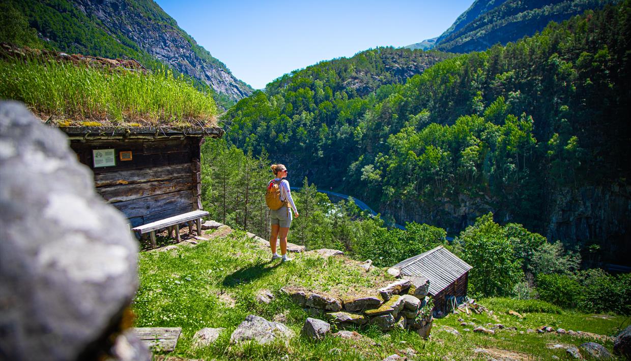 Galdane