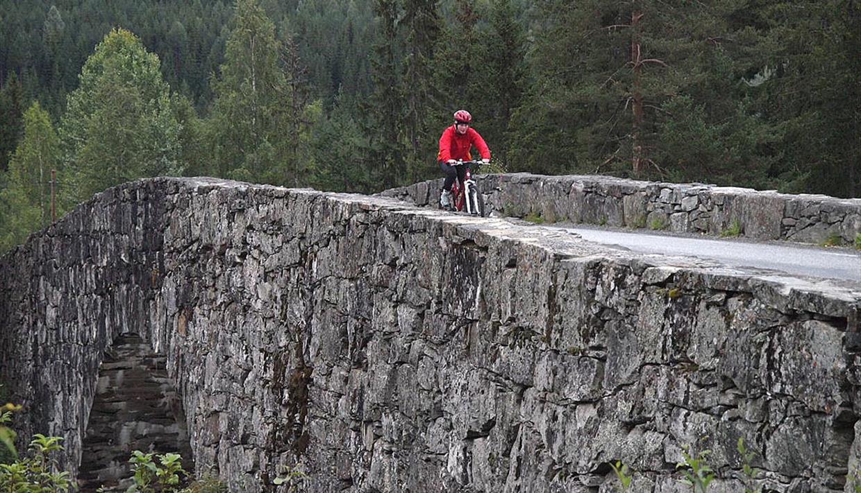 Cyclist in red jacket on Lunde Bridge