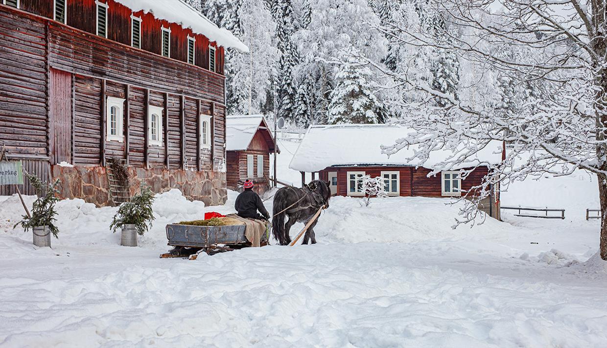 Horse and sleigh in the farm yard at Piltingsrud in the snow.