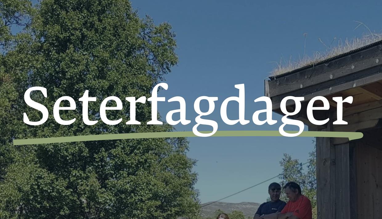 Illustrasjonsbilde