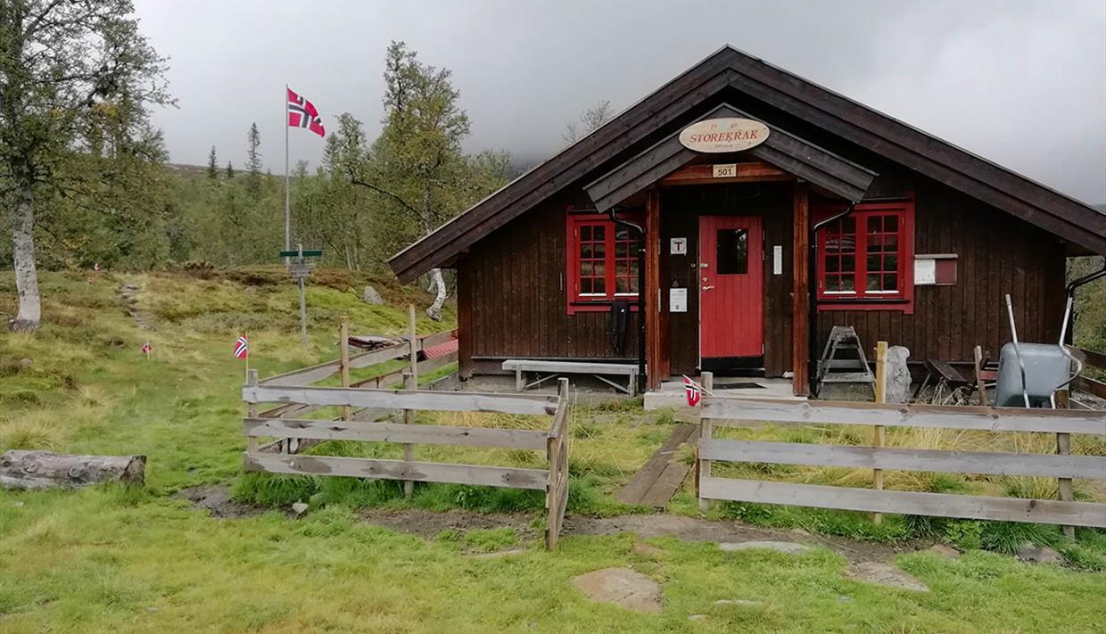 Storekrakkoia omringet av Bjørkeskog en grå sommerdag.