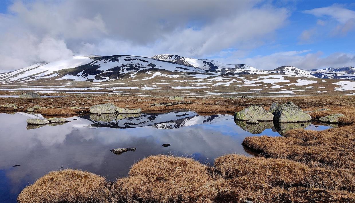 mountain reflections in a calm highland lake