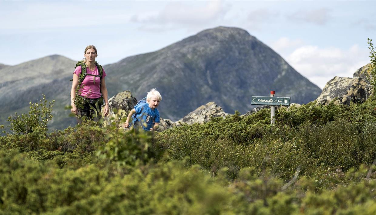 Young female out hiking with small boy on a mountain trai. In the foreground small juniper bushes, mountain in the background