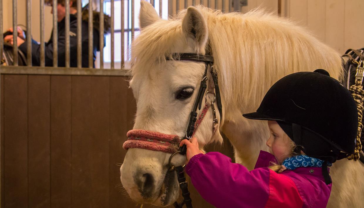 Jente som steller hest hos Myhre Gård