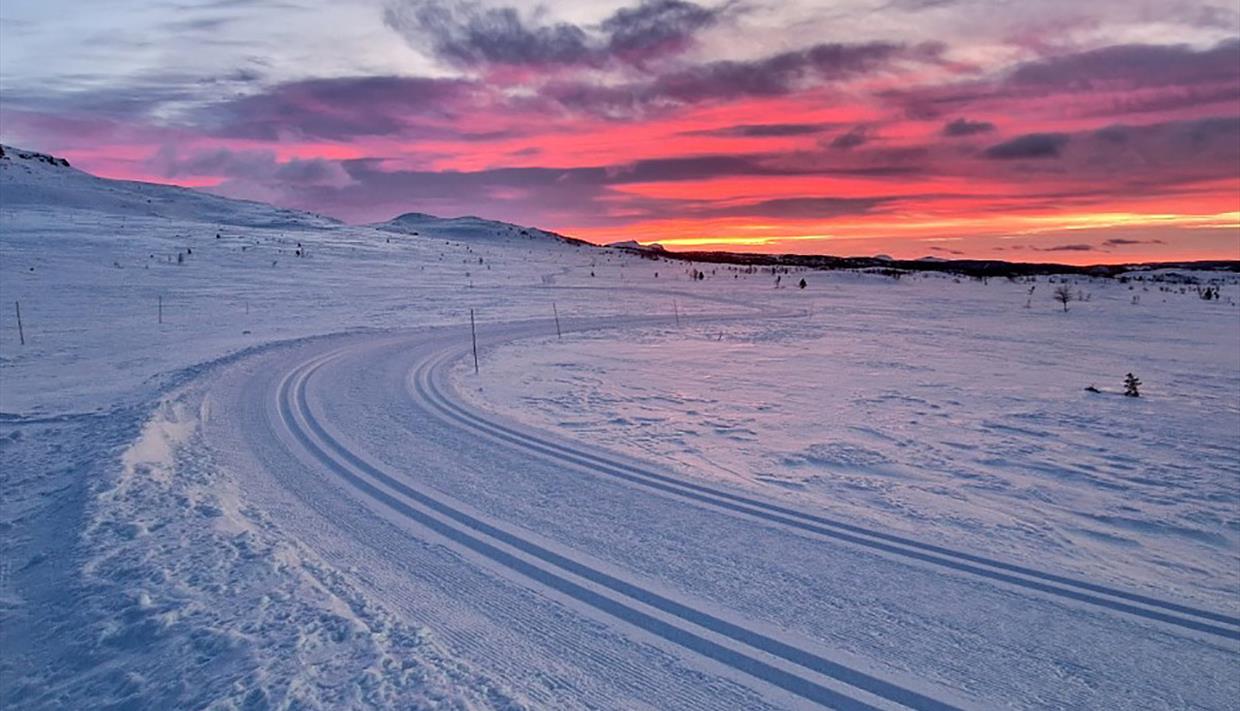Cross-country skiing tour Bygdin-Beitostølen via Båtskaret - Valdres
